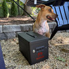 Range Vault gun safe next to a dog