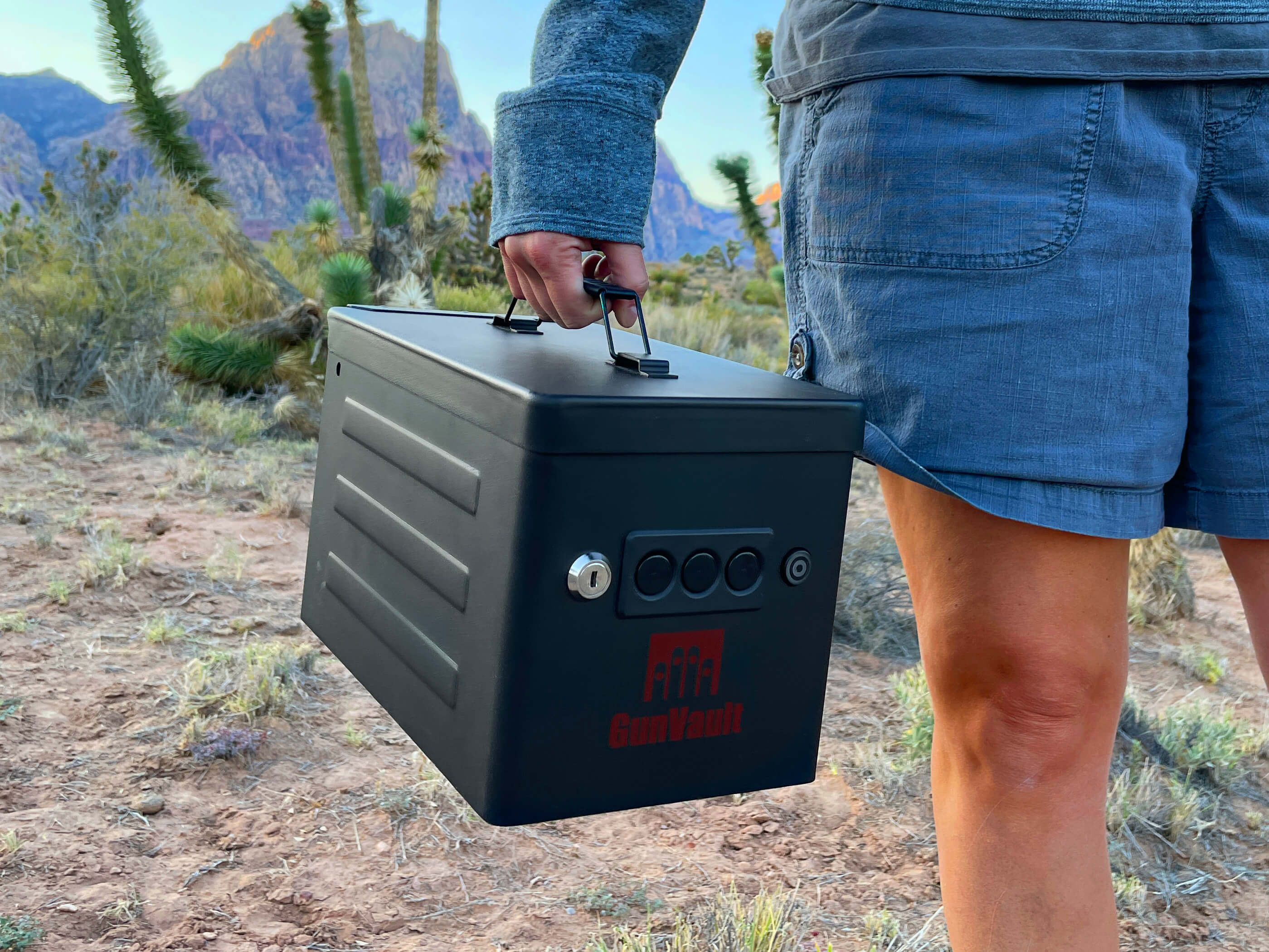 Quick access safes