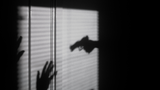 Breaking into cheap gun safes is easier than you think